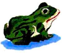 Большая книга о природе - i_032.jpg