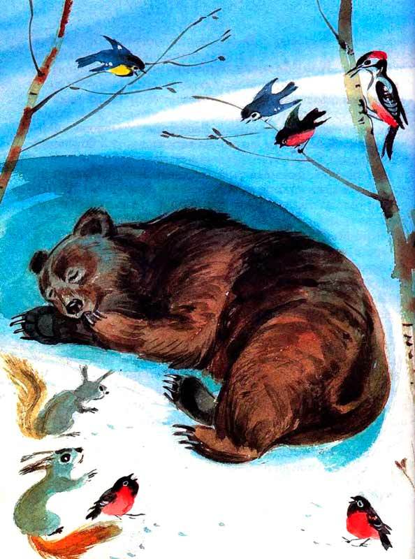 Большая книга о природе - i_033.jpg