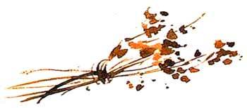 Большая книга о природе - i_123.jpg