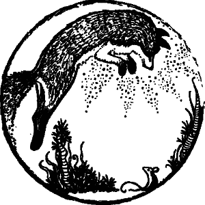 Дикая магия - _045.png