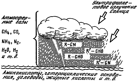 Эволюция биосферы - i_001.png