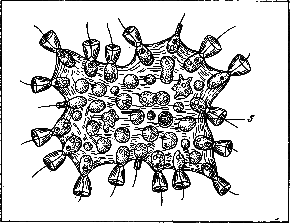 Эволюция биосферы - i_005.png