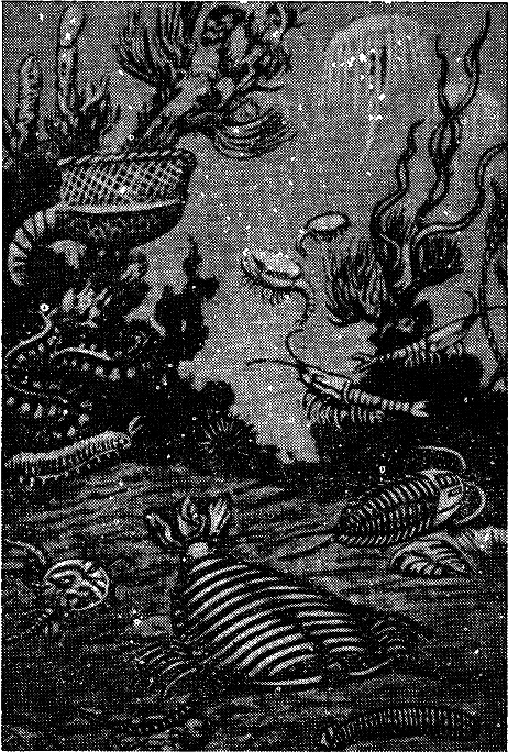 Эволюция биосферы - i_006.png