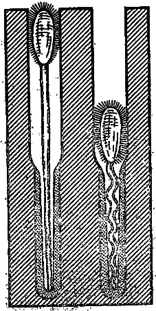 Эволюция биосферы - i_007.png