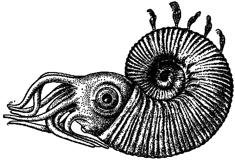 Эволюция биосферы - i_012.png