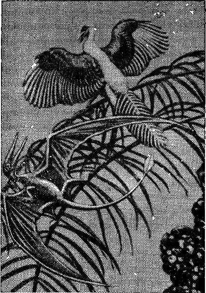 Эволюция биосферы - i_015.png