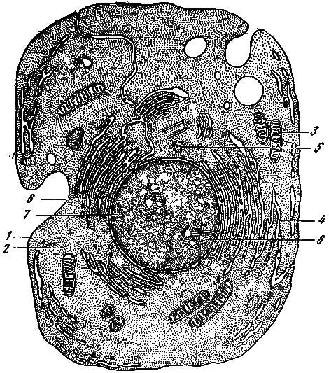 Эволюция биосферы - i_026.png