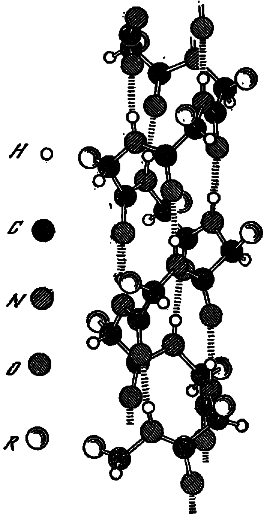 Эволюция биосферы - i_029.png