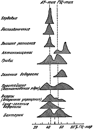 Эволюция биосферы - i_037.png