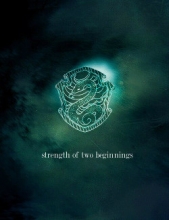 Сила двух начал (СИ) - автор 