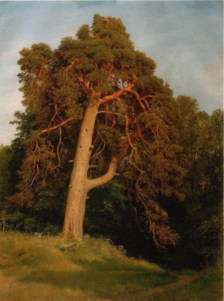 Иван Шишкин (1832 - 1898) - img_112.jpg