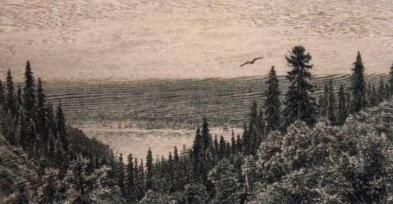 Иван Шишкин (1832 - 1898) - img_83.jpg