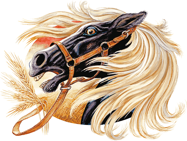 Сказки о природе (сборник) - i_003.png