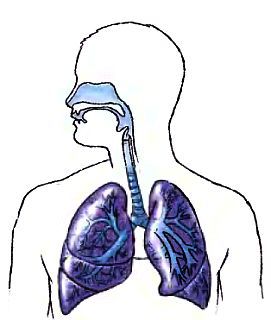 Анатомия йоги - _03.jpg_0