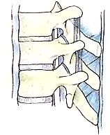 Анатомия йоги - _26.jpg_0