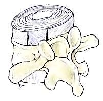 Анатомия йоги - _29.jpg_0