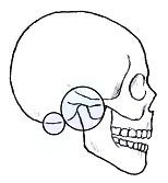 Анатомия йоги - _123.jpg