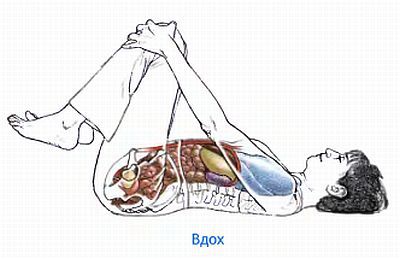Анатомия йоги - _132.jpg