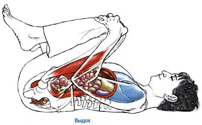 Анатомия йоги - _133.jpg