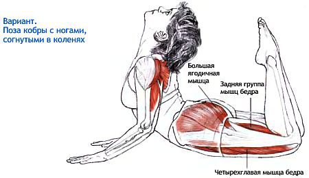 Анатомия йоги - _156.jpg