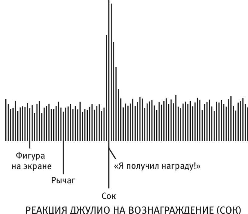 Власть привычки. Почему мы живем и работаем именно так, а не иначе - i_008.jpg