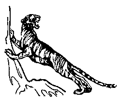 Змеиный камень - pic_5.png