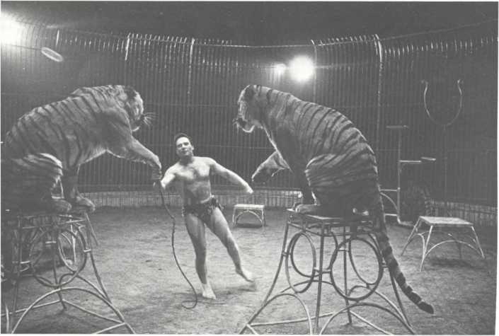 История мирового цирка - i_182.jpg