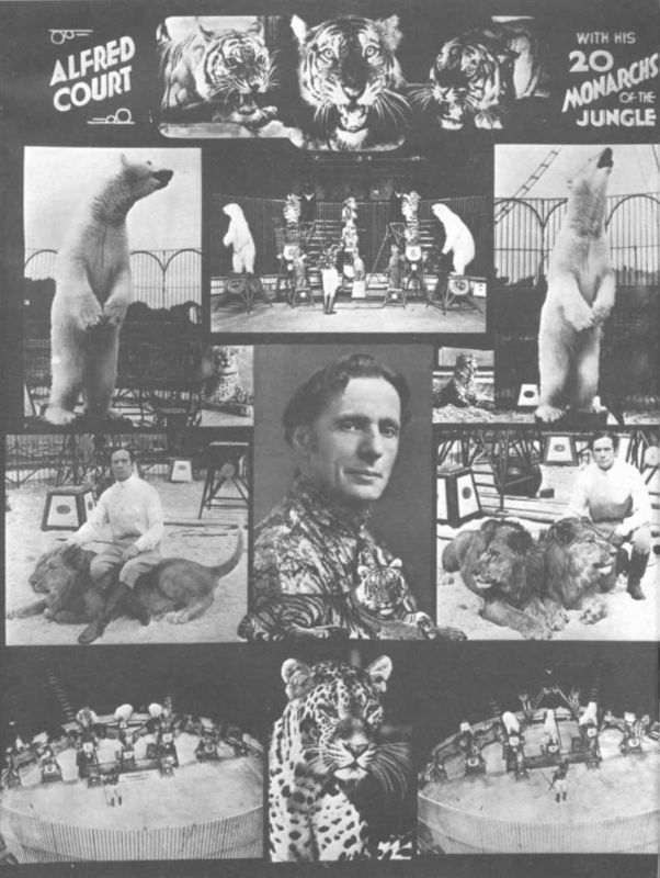 История мирового цирка - i_190.jpg