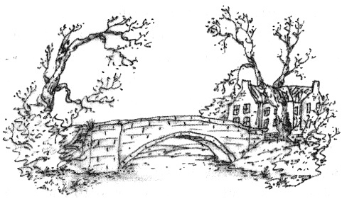 Этот Вильям! - i_017.jpg