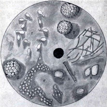 Три тайны жизни - i_014.jpg