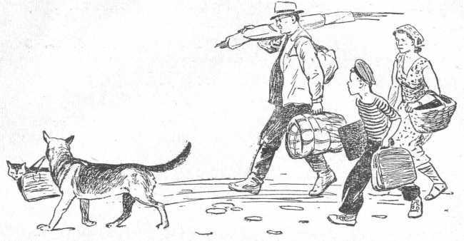 Двадцать дней на борту корабля 