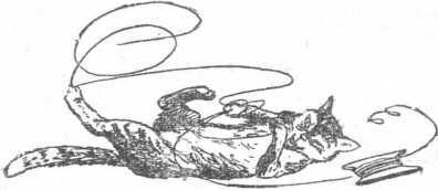 Двадцать дней на борту корабля