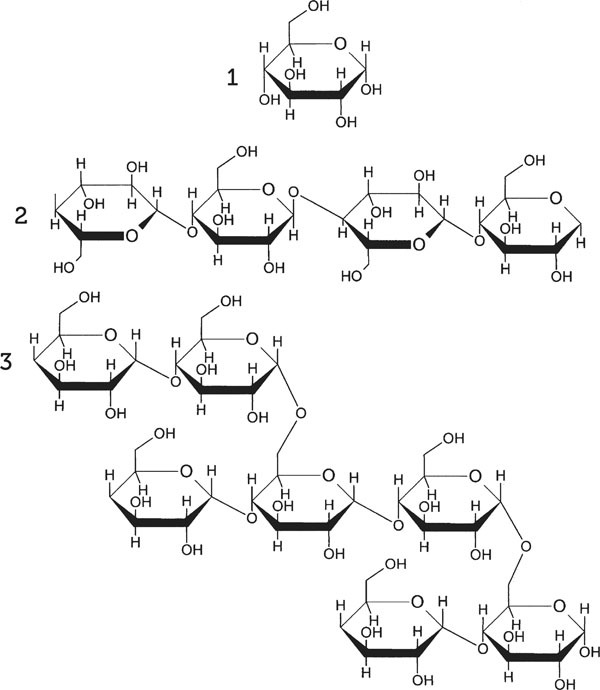 Нескучная биология - _10.jpg
