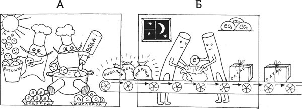 Нескучная биология - _24.jpg