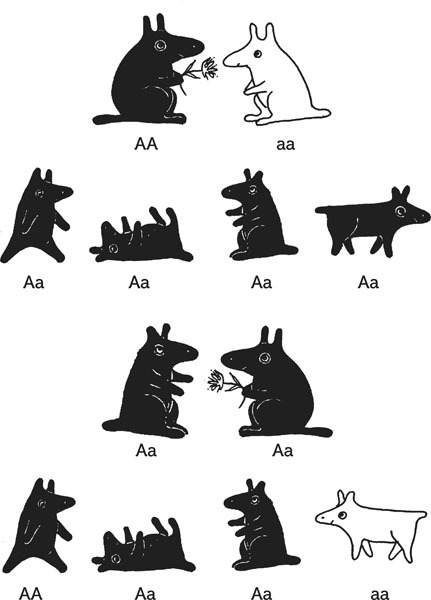 Нескучная биология - _39.jpg