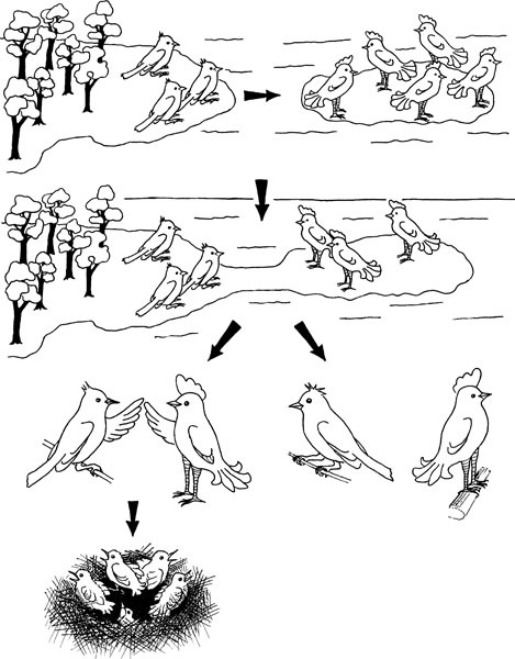 Нескучная биология - _42.jpg