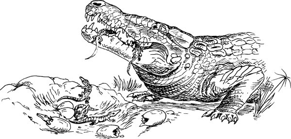 Нескучная биология - _44.jpg