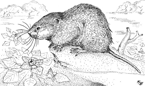 Нескучная биология - _48.jpg