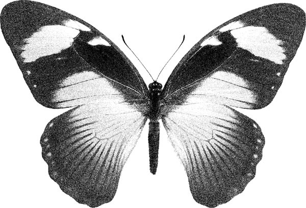 Нескучная биология - _522.jpg