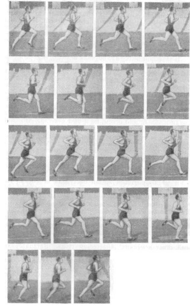 От новичка до мастера спорта - img959B.jpg