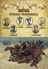 Красные полководцы. Сергей Каменев, Семен Будённый, Михаил Фрунзе, Василий Чапаев, Василий Блюхер, М - автор Мягков Михаил Юрьевич 