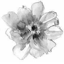 Практики и упражнения для женщин - i_003.jpg