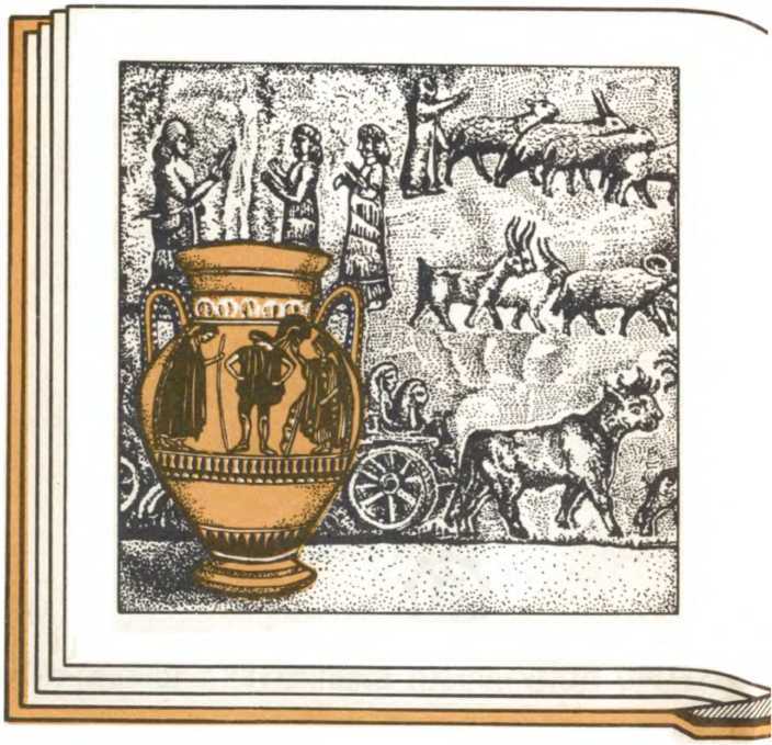 От амфоры до тетрапака - _1.jpg