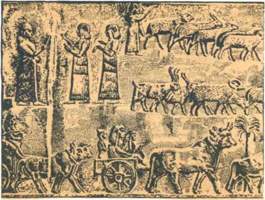 От амфоры до тетрапака - _8.jpg