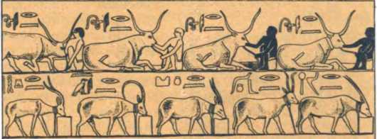 От амфоры до тетрапака - _9.jpg