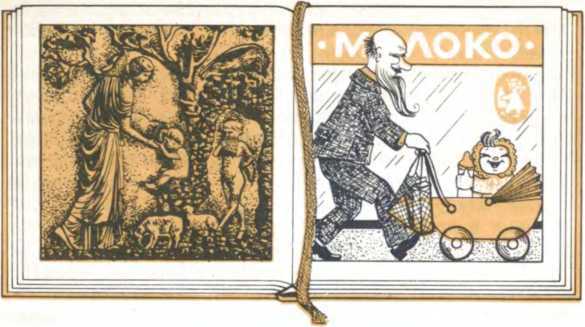 От амфоры до тетрапака - _3.jpg