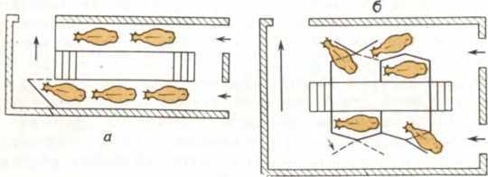 От амфоры до тетрапака - _34.jpg