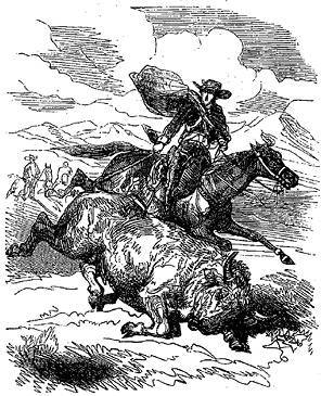 Белый вождь - i_003.jpg