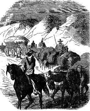 Белый вождь - i_006.jpg