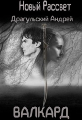  Драгульский Андрей - Новый рассвет. Валкард (СИ)